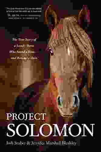 Project Solomon: The True Story of a Lonely Horse Who Found a Home and Became a Hero