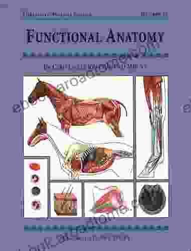 FUNCTIONAL ANATOMY: Threshold Picture Guide No 43 (Threshold Picture Guides)