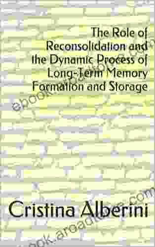 The Role Of Reconsolidation And The Dynamic Process Of Long Term Memory Formation And Storage