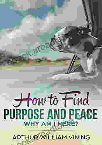 How To Find Purpose And Peace: Why Am I Here?