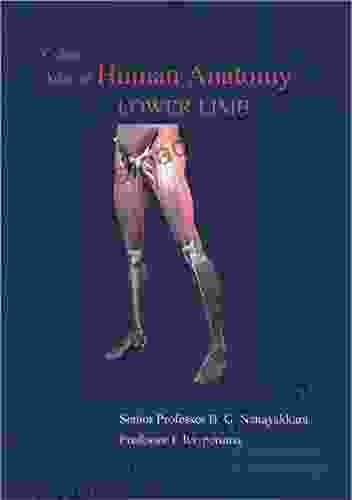 Colour Atlas of Human Anatomy Lower Limb