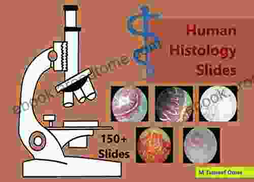 Human Histology Slides