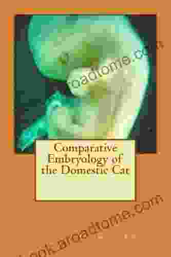 Comparative Embryology Of The Domestic Cat